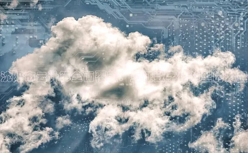 杏悦APP官网百家号沈阳市云计算全面覆盖：见证数字化转型的力量