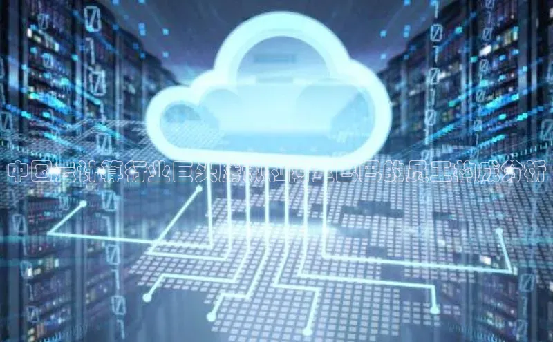 杏悦APP官方网站入口梯哥哥科技中国云计算行业巨头腾讯和阿里巴巴的员工构成分析