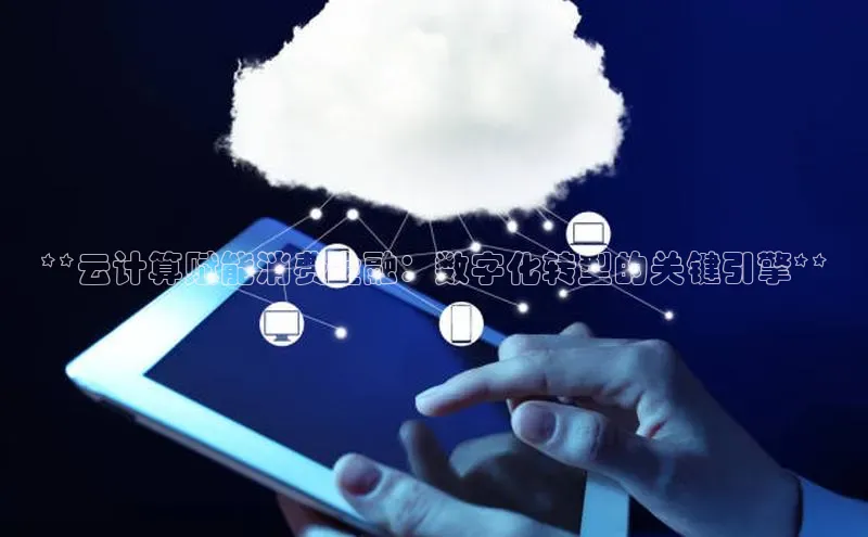 杏悦app官方网站入口下载安装诸葛科技**云计算赋能消费金融：数字化转型的关键引擎**