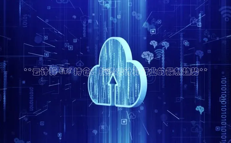 杏悦登陆路线阿里尔公司**云计算 ETF 持仓：投资云计算行业的最新趋势**