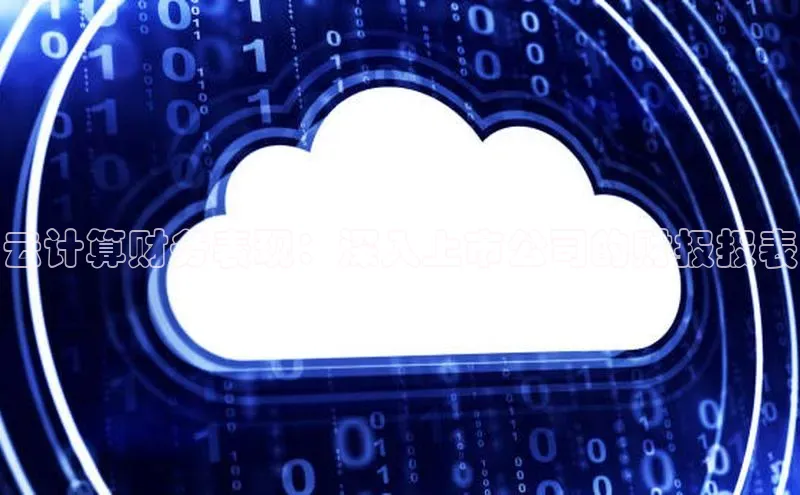 杏悦娱乐注册平台百度 H5云计算财务表现：深入上市公司的财报报表