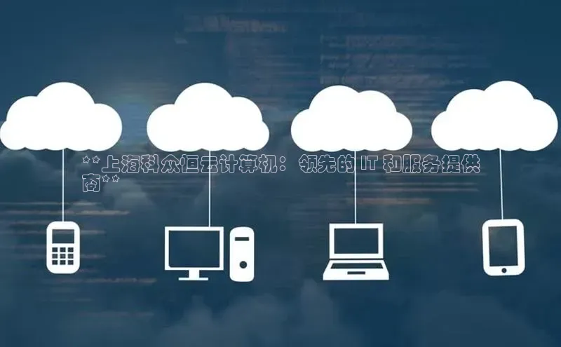 杏悦登录注册金山办公**上海科众恒云计算机：领先的 IT 和服务提供
商**