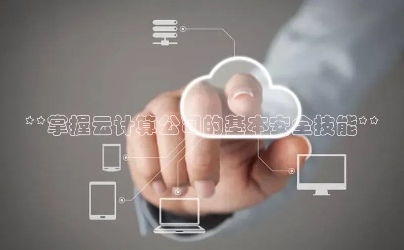 杏悦娱乐注册平台挪威主权基金**掌握云计算公司的基本安全技能**