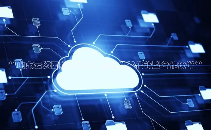 杏悦登录地址小红书**山东云海国际云计算：您的数字化转型合作伙伴**