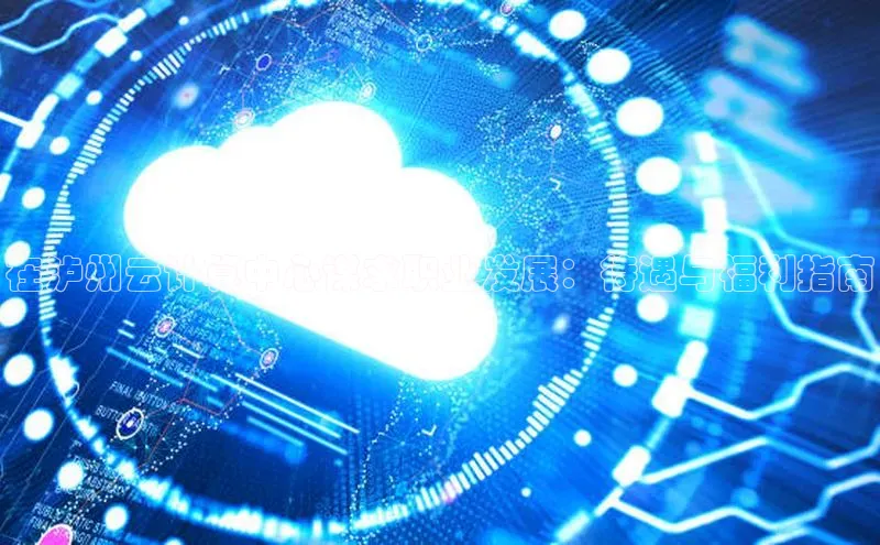 杏悦app官方网站入口下载安装慧博云通在泸州云计算中心谋求职业发展：待遇与福利指南