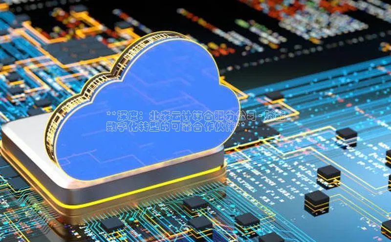 杏悦登录地址小红书**深度：北森云计算合肥分公司 - 赋能
数字化转型的可靠合作伙伴**