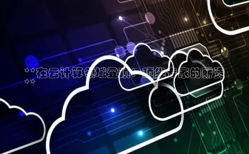 杏悦招商b176五827夏美团**在云计算领域登顶：顶尖专家的薪资
**