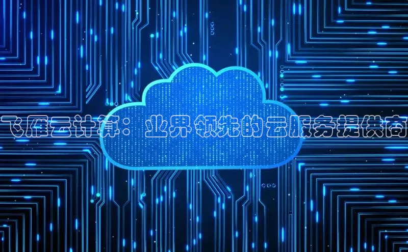 杏悦1平台登录入口百度社团赞助平台飞雁云计算：业界领先的云服务提供商