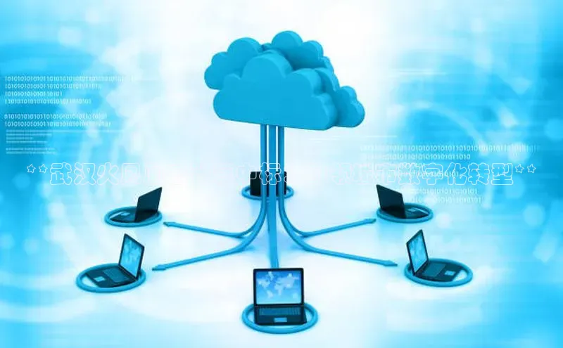 杏悦娱乐官网入口登录注册云创智行**武汉火凤凰云计算中标：引领城市数字化转型**