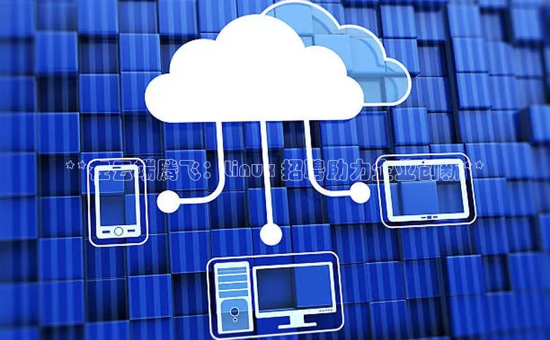 杏悦vip登录入口百度翻译App**在云端腾飞：Linux 招聘助力企业创新**