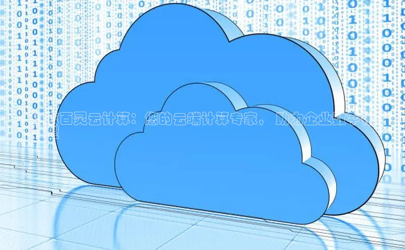 杏悦登录注册百度搜索资源平台山东百灵云计算：您的云端计算专家， 助力企业数字化
转型