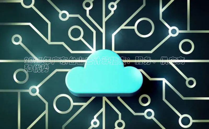 杏悦招商b176五827夏美团2023年广东台山云计算指南：服务、供应商
和优势