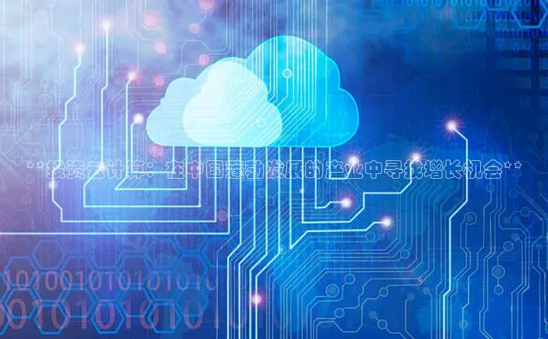 杏悦vip登录入口华策影视**投资云计算：在中国蓬勃发展的产业中寻找增长机会**