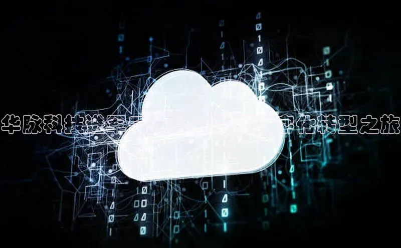 杏悦1平台登录入口百度社团赞助平台华脉科技进军云计算：引领数字化转型之旅