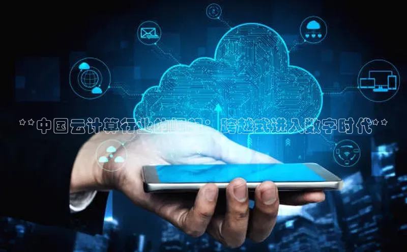 杏悦1平台登录入口ARGA公司**中国云计算行业的崛起：跨越式进入数字时代**