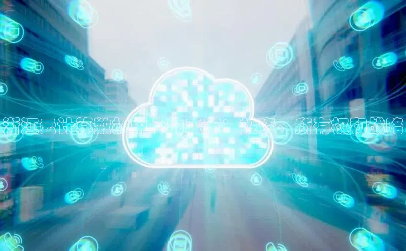 杏悦娱乐官方网站入口滴滴出行浙江云计算数据中心的股东：投资、所有权和战略