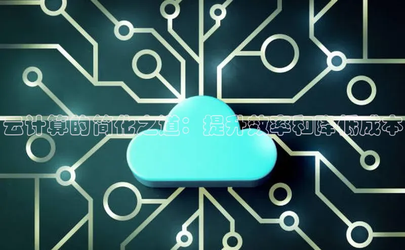 杏悦娱乐注册平台挪威主权基金云计算的简化之道：提升效率和降低成本