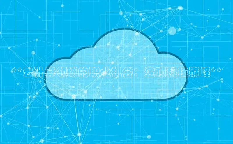 杏悦股东z176五827梨百度游戏**云计算领域的职业机会：登顶科技巅峰**