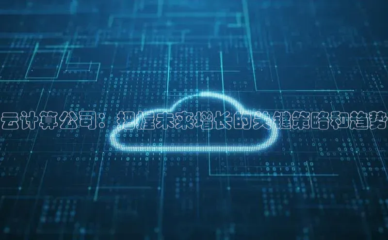 杏悦APP官方网站入口百度网盘云计算公司：把握未来增长的关键策略和趋势