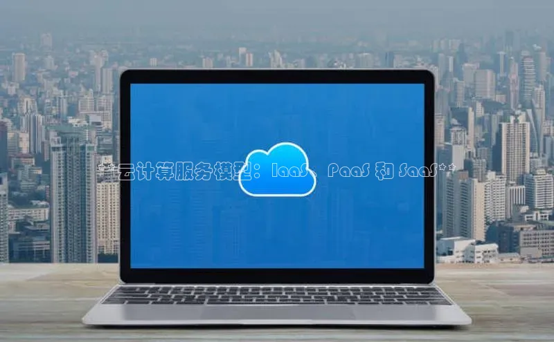 杏悦APP官方网站入口百度网盘**云计算服务模型：IaaS、PaaS 和 SaaS**