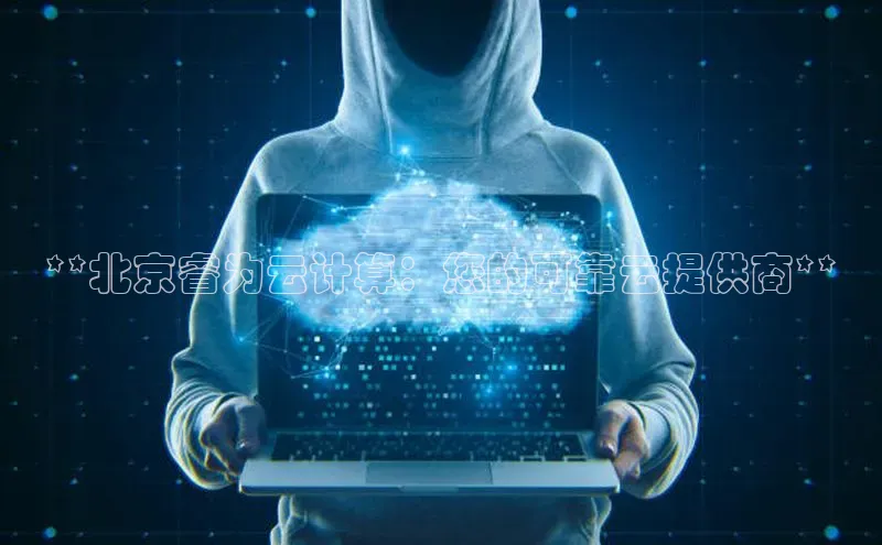 杏悦app官方网站入口下载安装百度安全社区**北京睿为云计算：您的可靠云提供商**