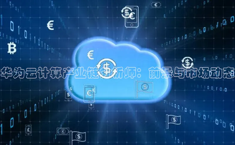 杏悦vip登录入口神思电子华为云计算产业链分析师：前景与市场动态