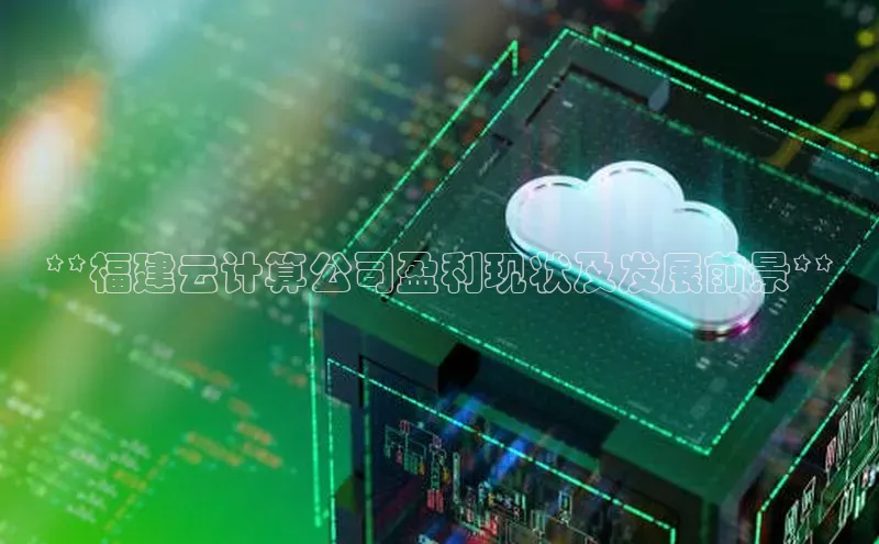 杏悦会员官网登录入口百度集团**福建云计算公司盈利现状及发展前景**