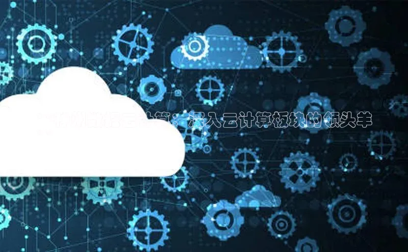 杏悦登陆路线雷柏科技**神州数据云计算：深入云计算板块的领头羊
**